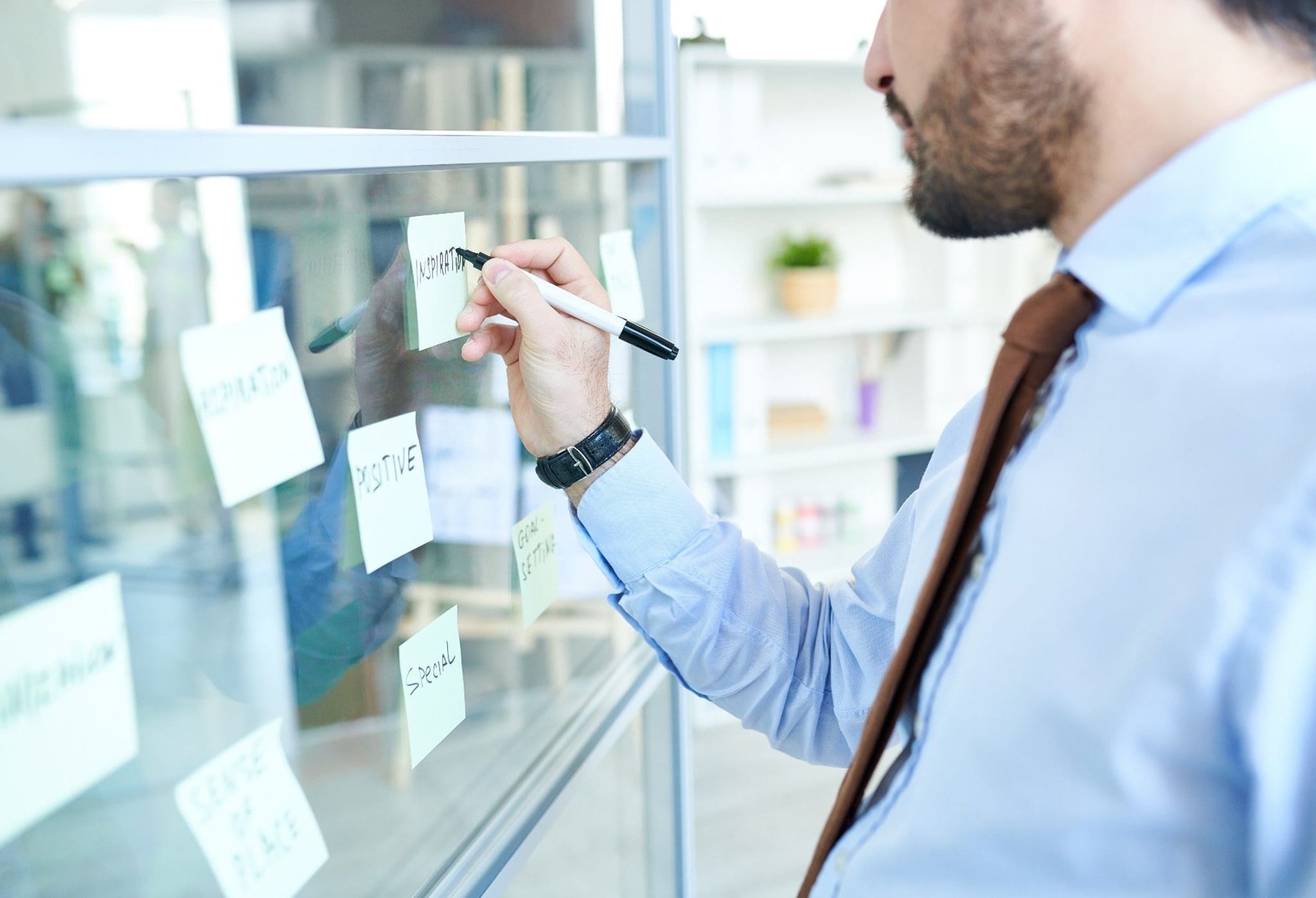 Immagine di copertina del corso